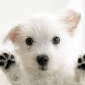 Meet your Posher, Steph